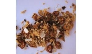 acuherb china med herbal medicine
